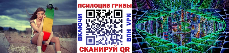 Галлюциногенные грибы мицелий Купить закладки Северобайкальск